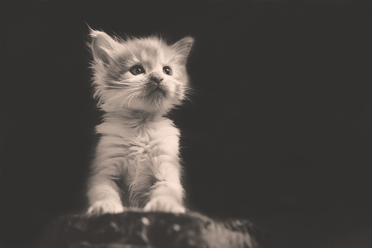 Извини меня