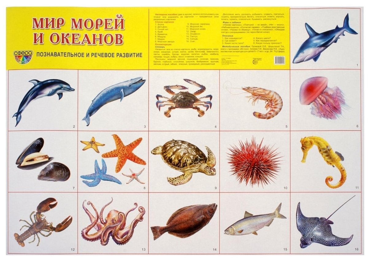 Карточки. Морские животные