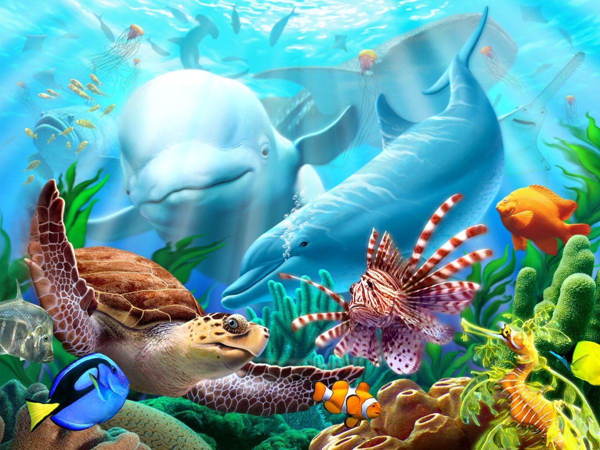 Подводное царство океана