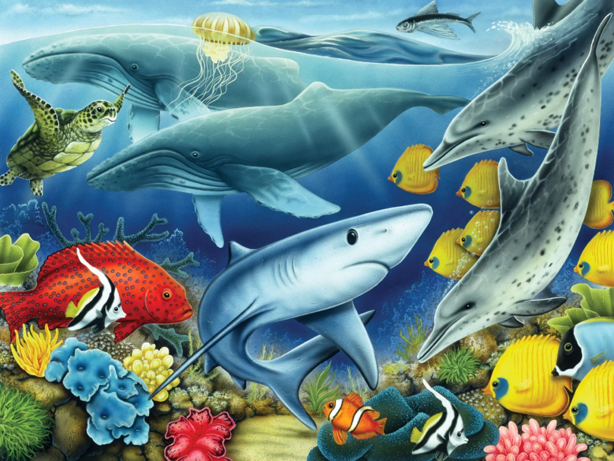 Обитатели подводного мира для детей