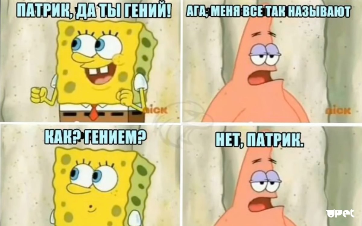 Спанч Боб приколы