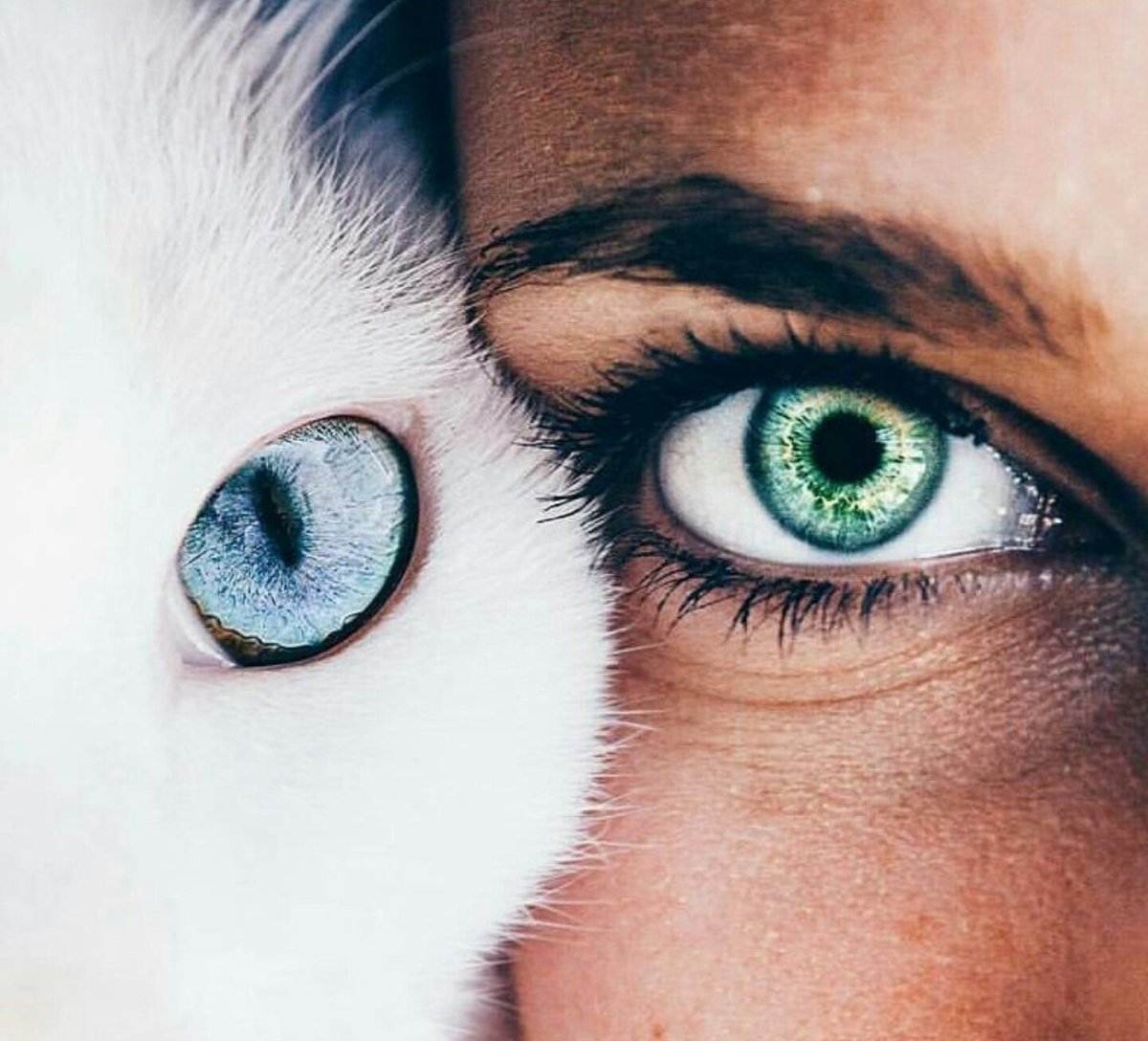 Девушка с глазами кошки