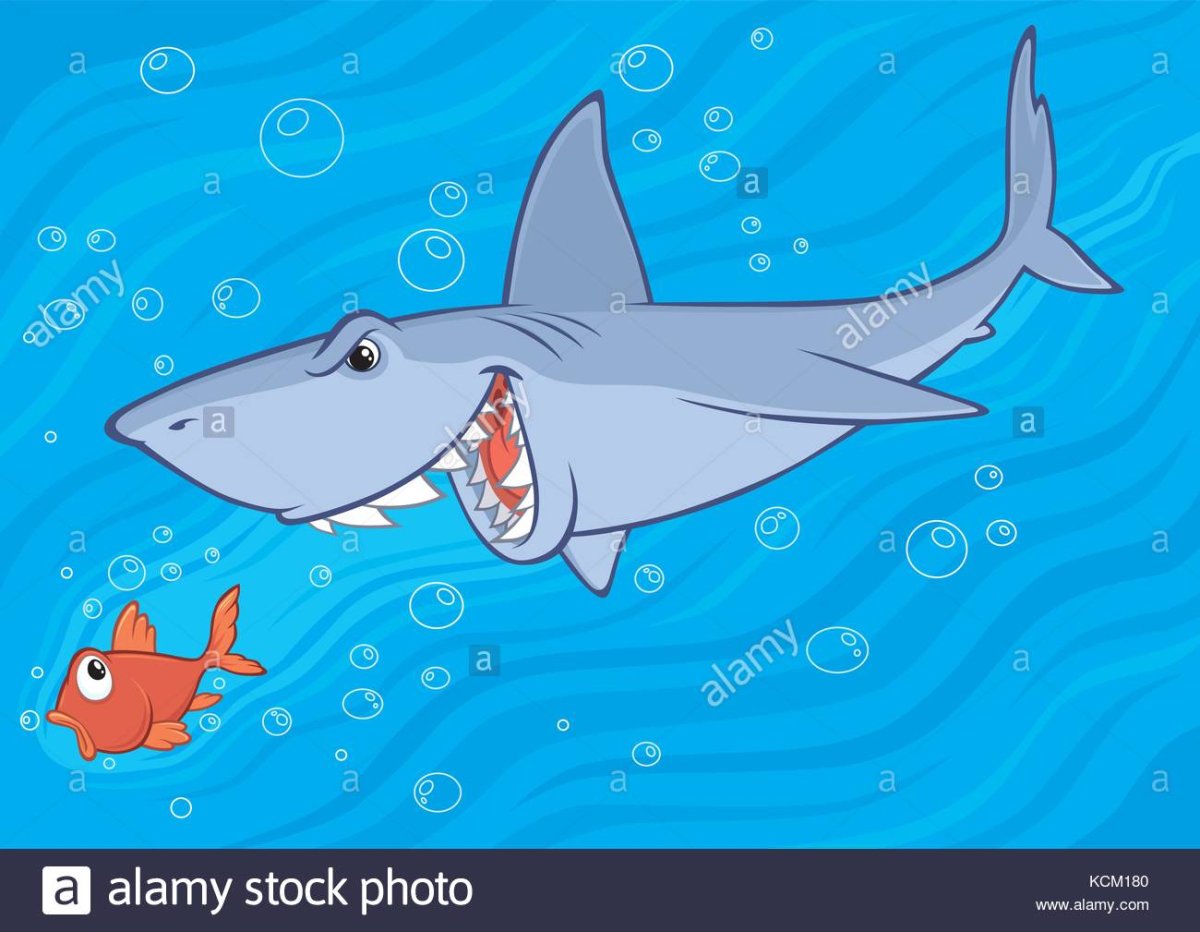 Акула гонится за рыбкой