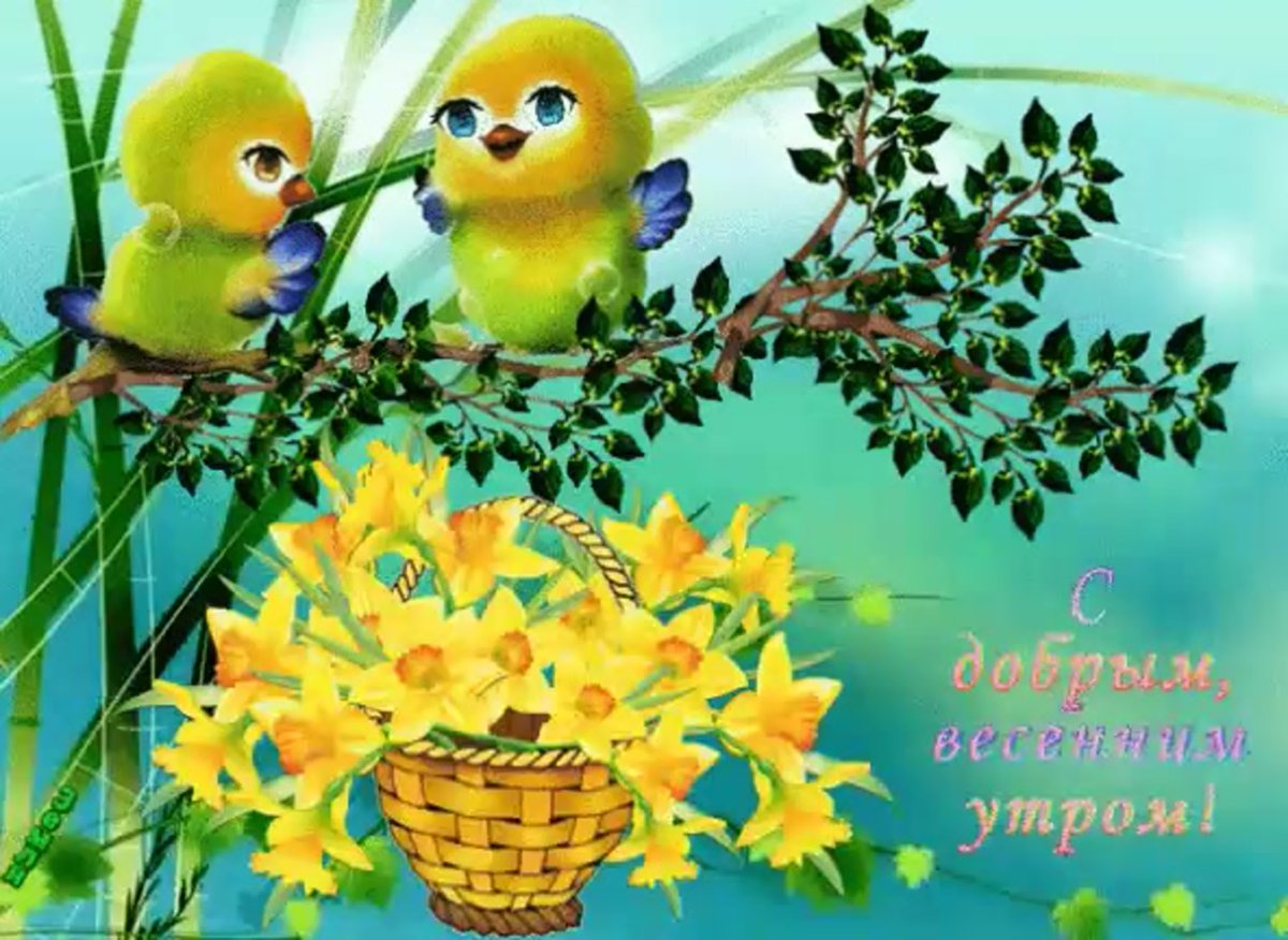 Хорошего вторника отличного настроения