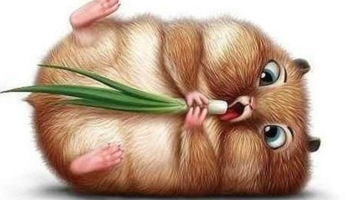 Мультяшные хомяки смешные