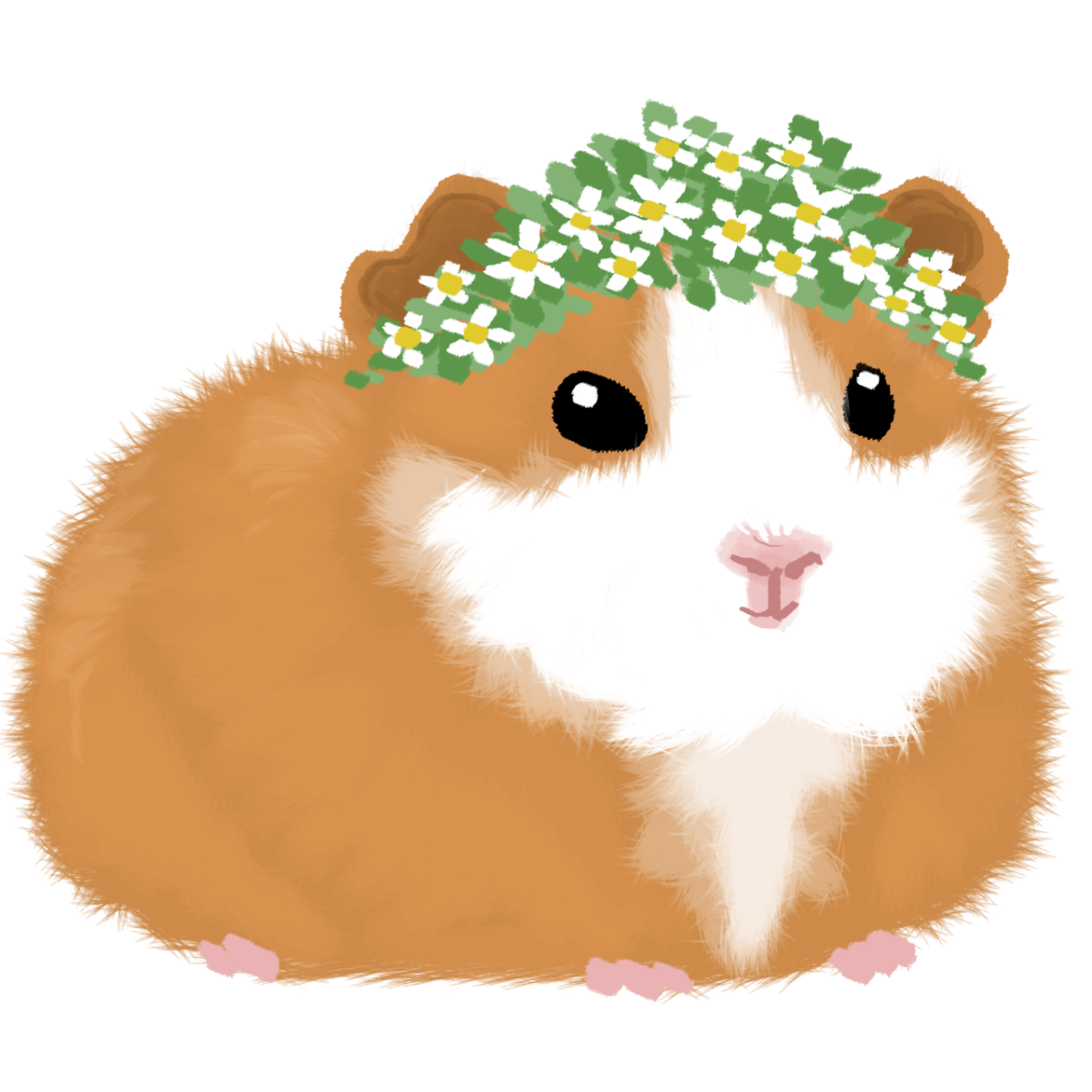 Хомяк рисунок