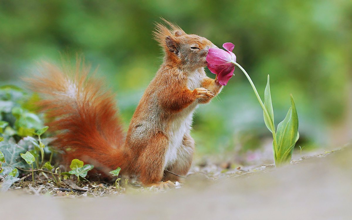 Джулиан рад