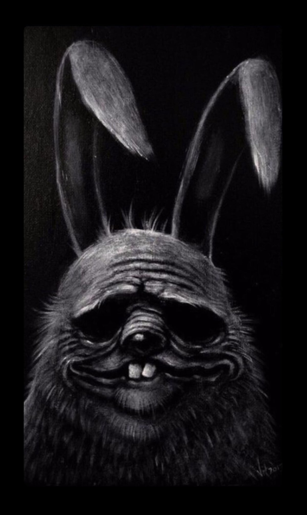 Австралийский заяц