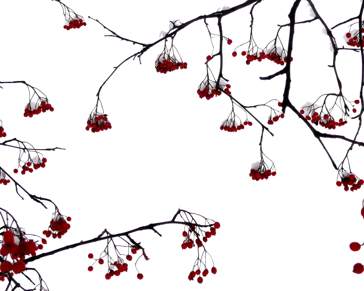 Веточка рябины вышитая