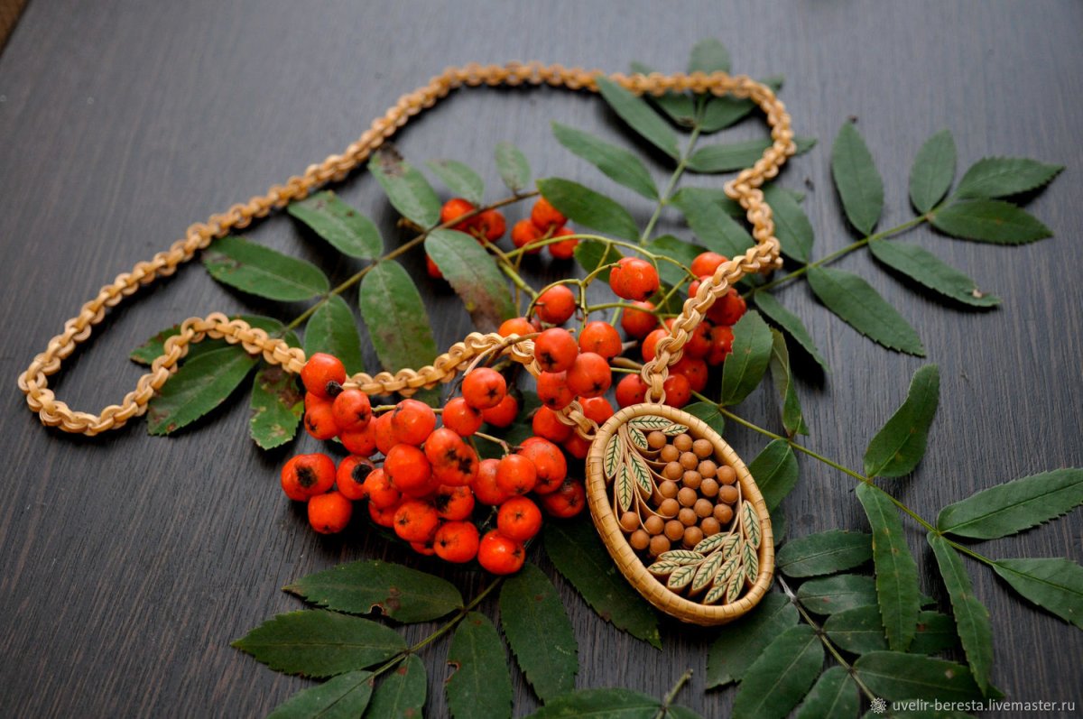 Гроздь рябины