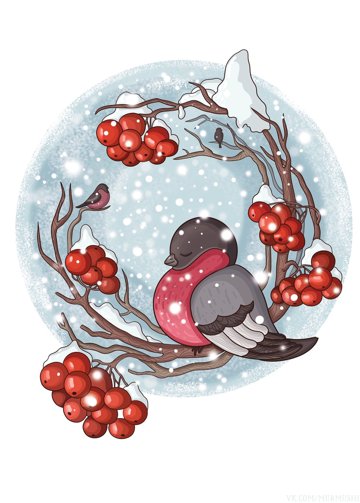 Снегирь на ветке на белом фоне