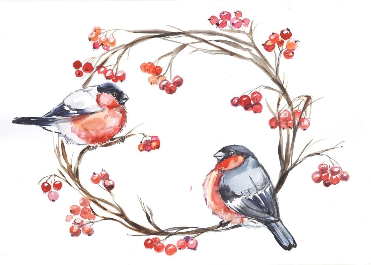 Ветка рябины вектор