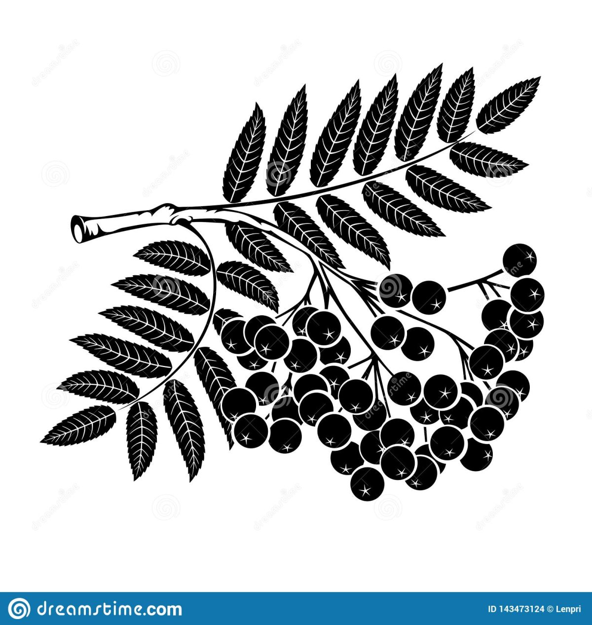 Красные ягоды Эстетика