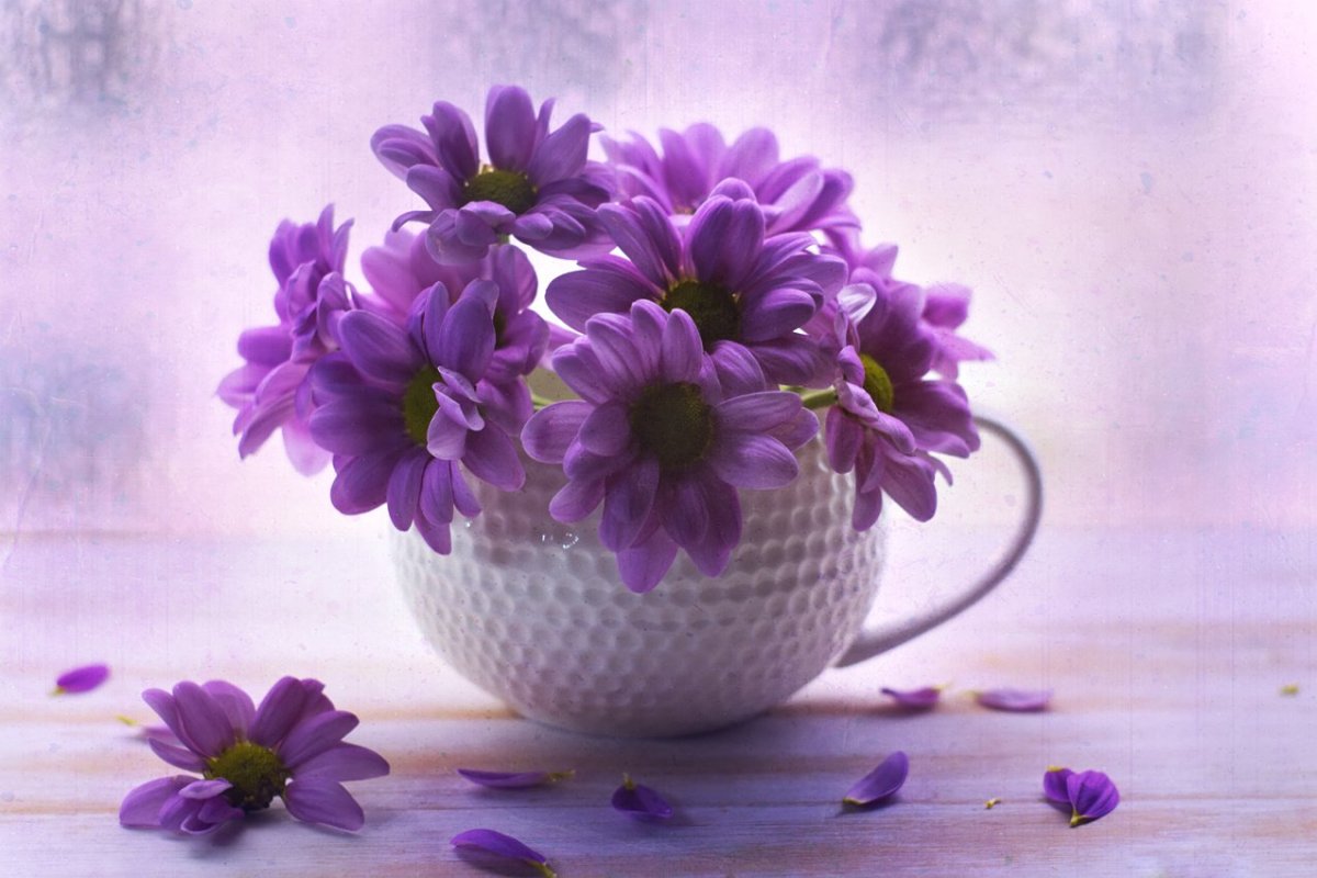 Сиреневое утро