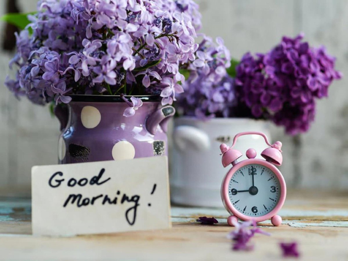 Доброе утро в сиреневых тонах