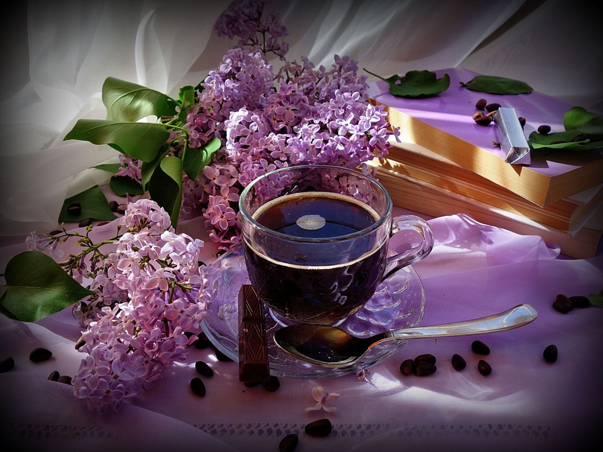 Чай с сиренью