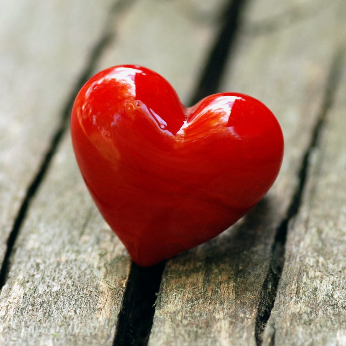 Сердце любовь