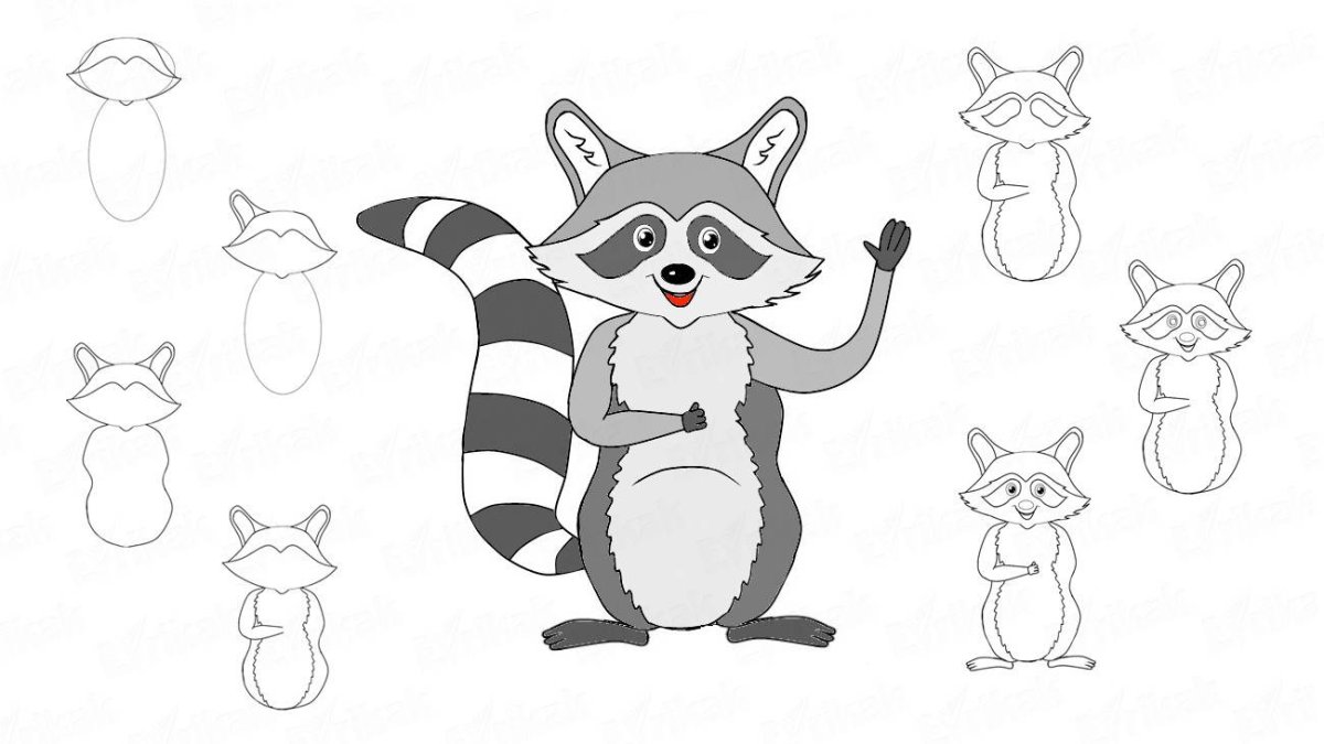 Енот рисунок для срисовки