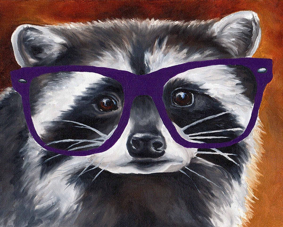 Енот в очках