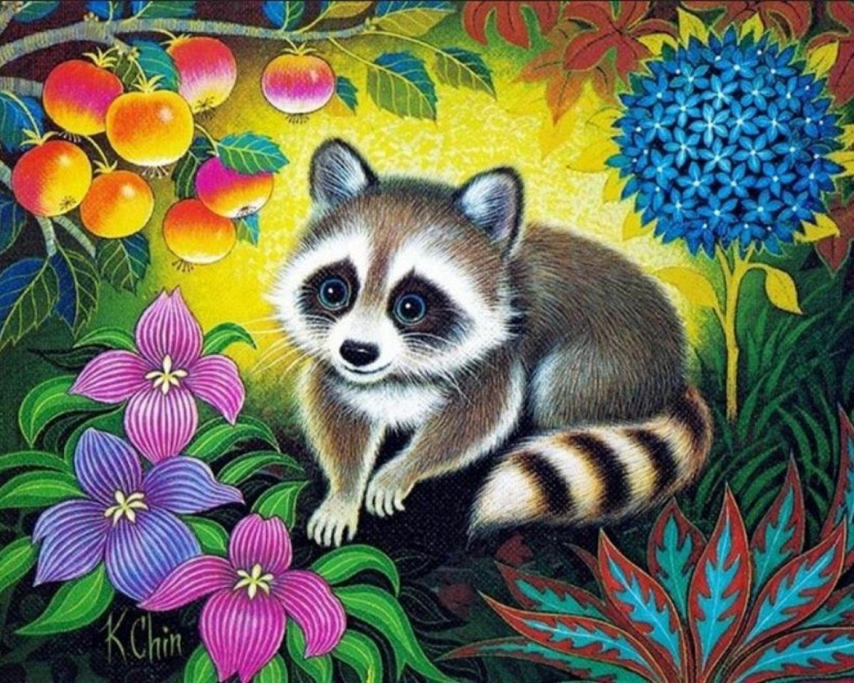 Енот цветными карандашами