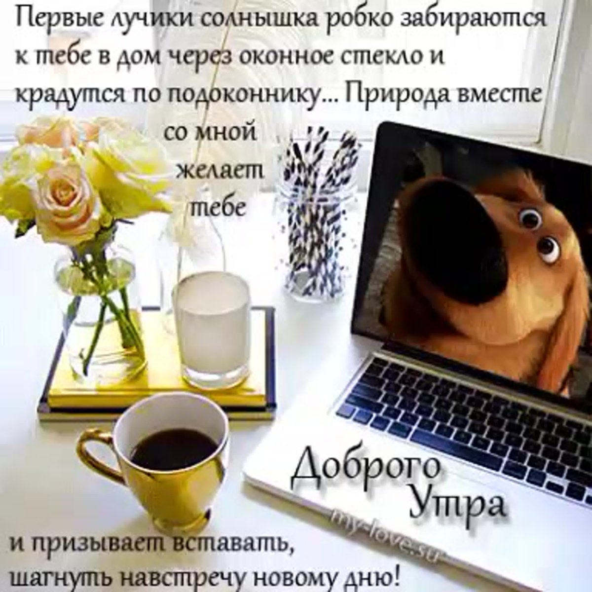 С добрым утром среды