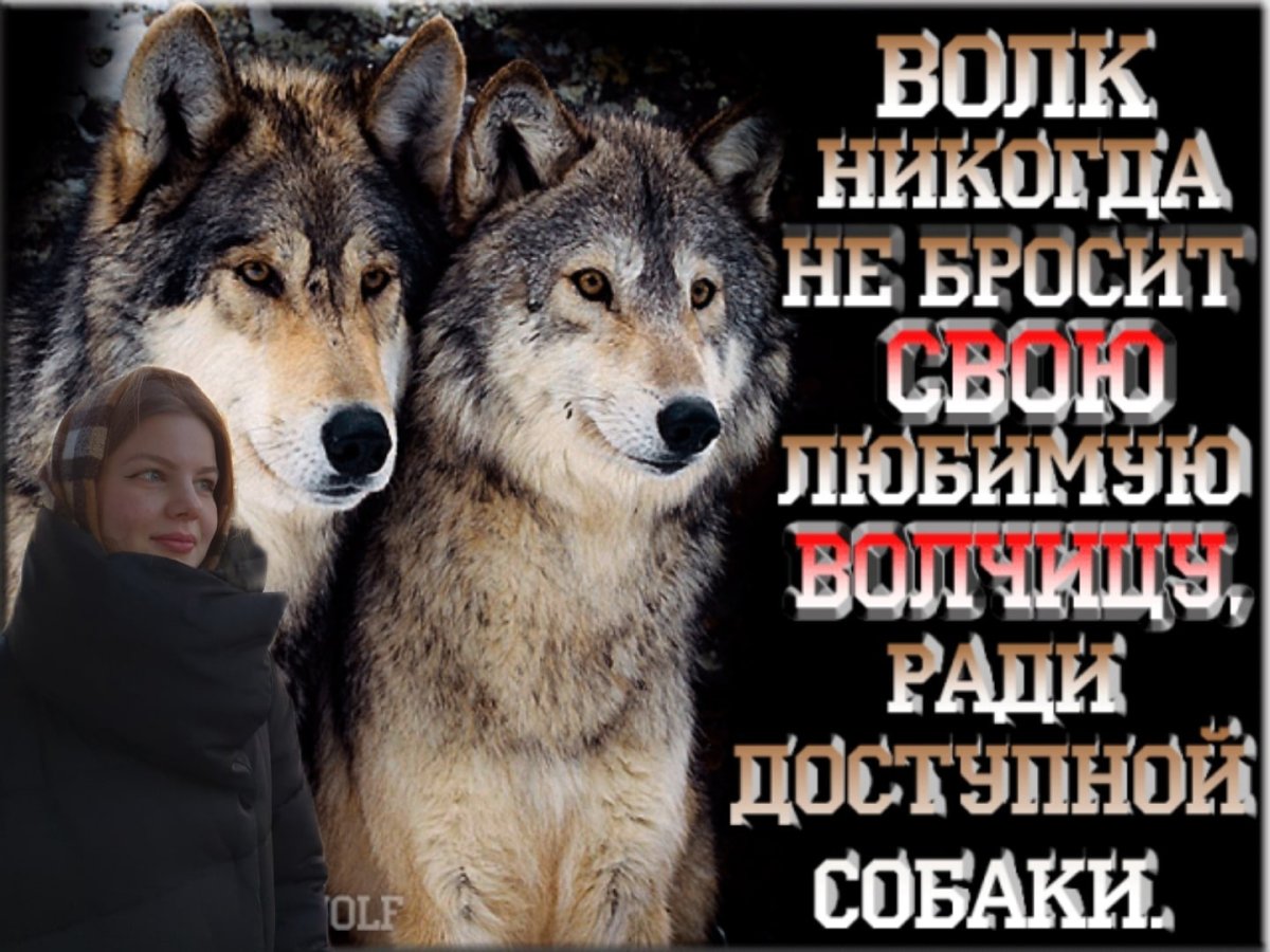 Волк и волчица с надписью