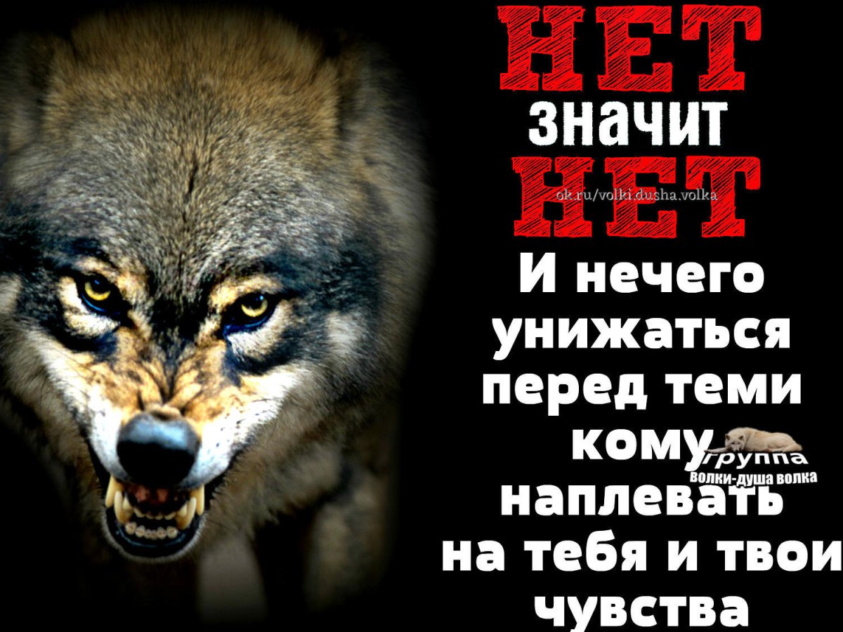 Оскал волка с надписью