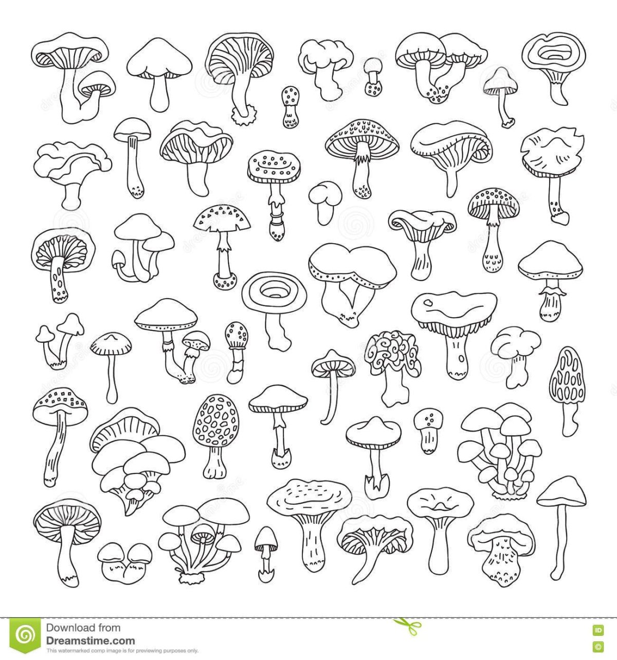 Раскраски грибов для детей с названиями