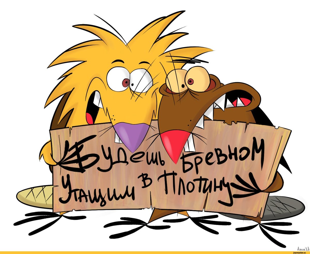 Крутые бобры диск