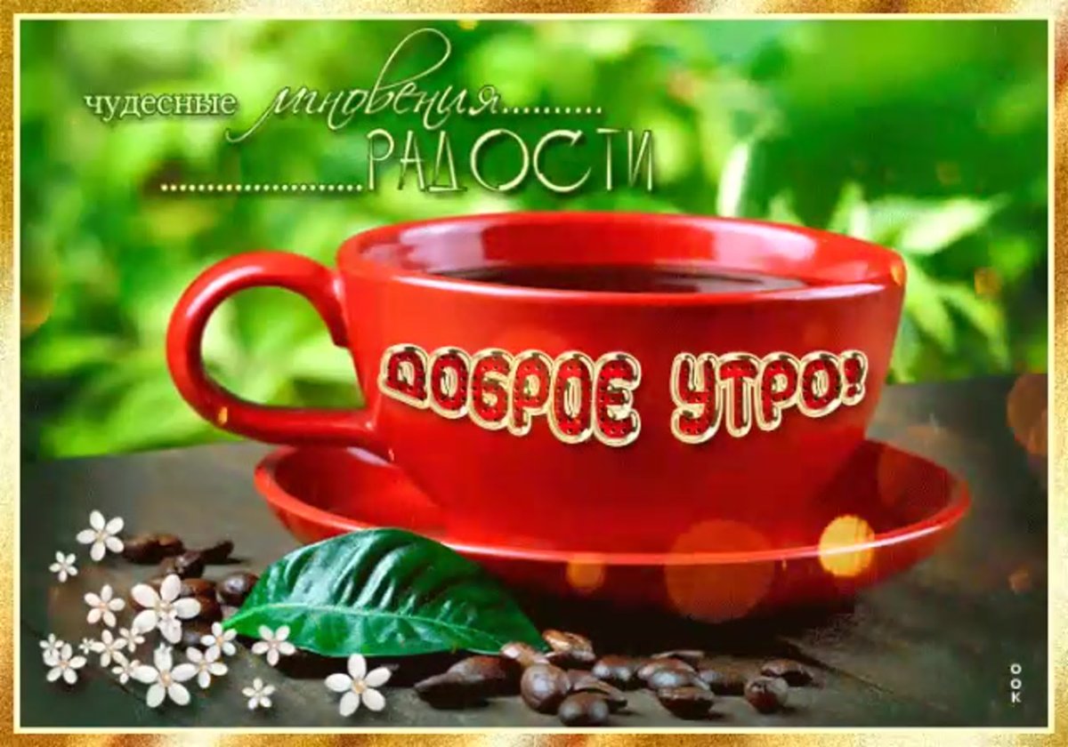 С добрым утром фрукты