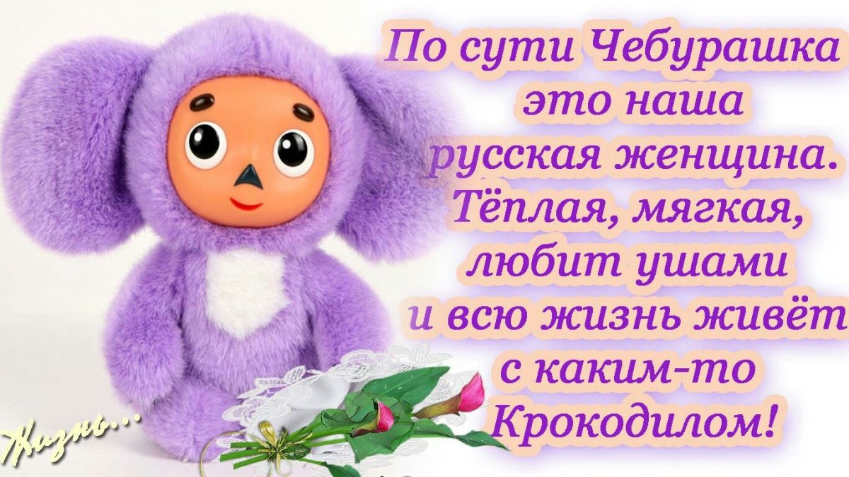 Женщина как Чебурашка любит ушами