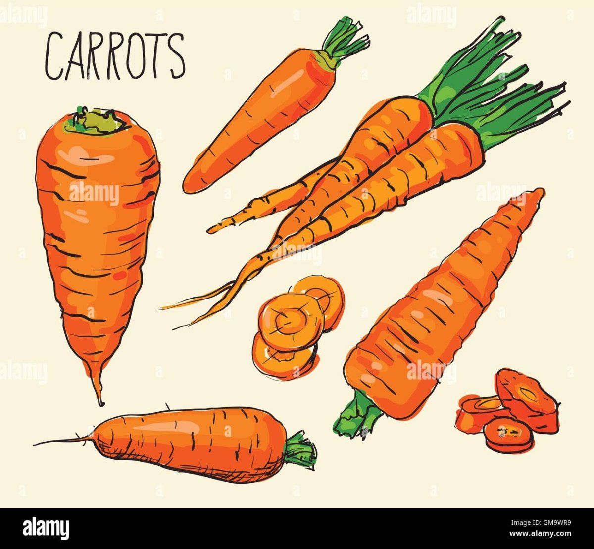 Морковка скетч