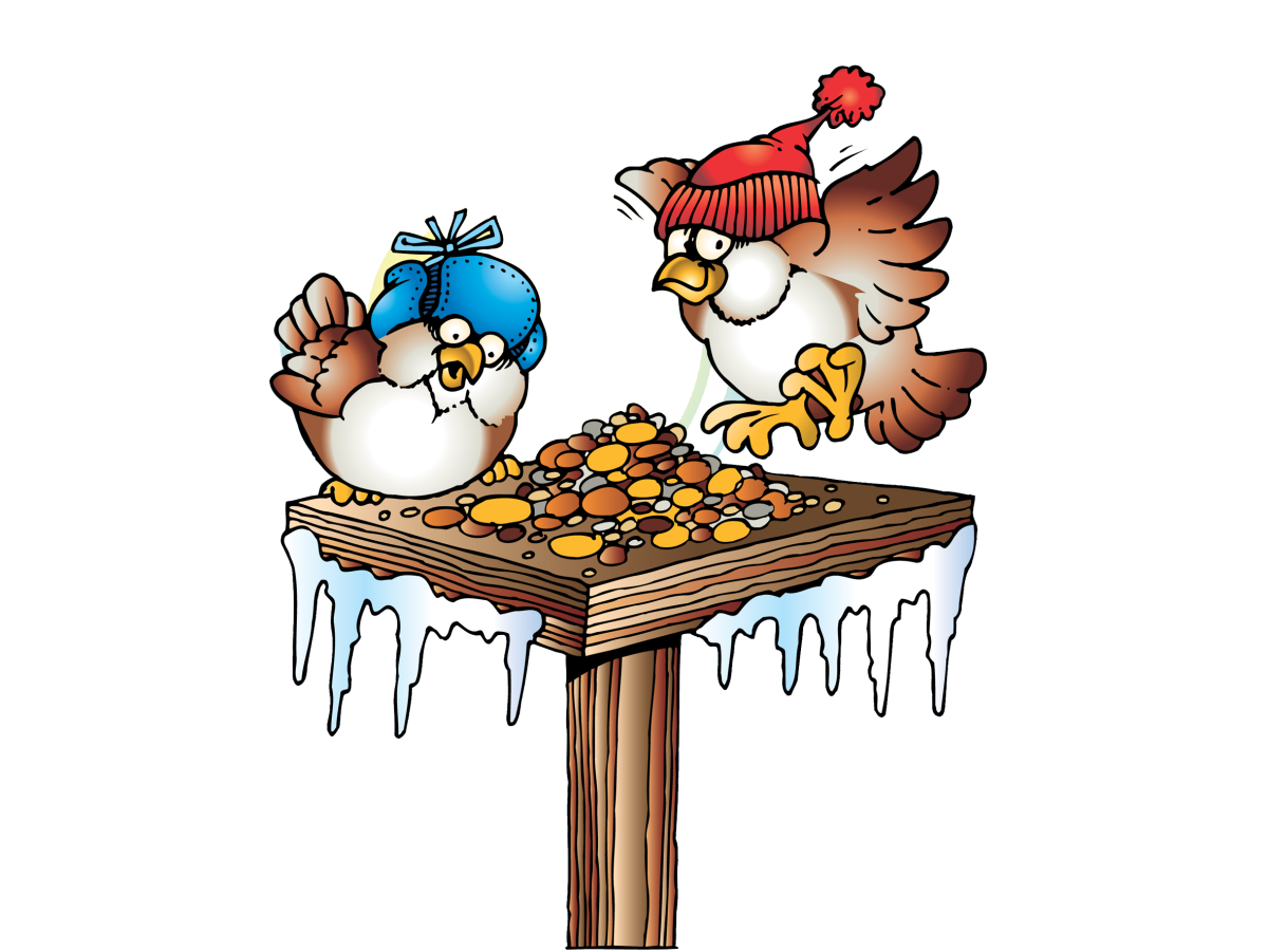 Зимняя столовая для птиц