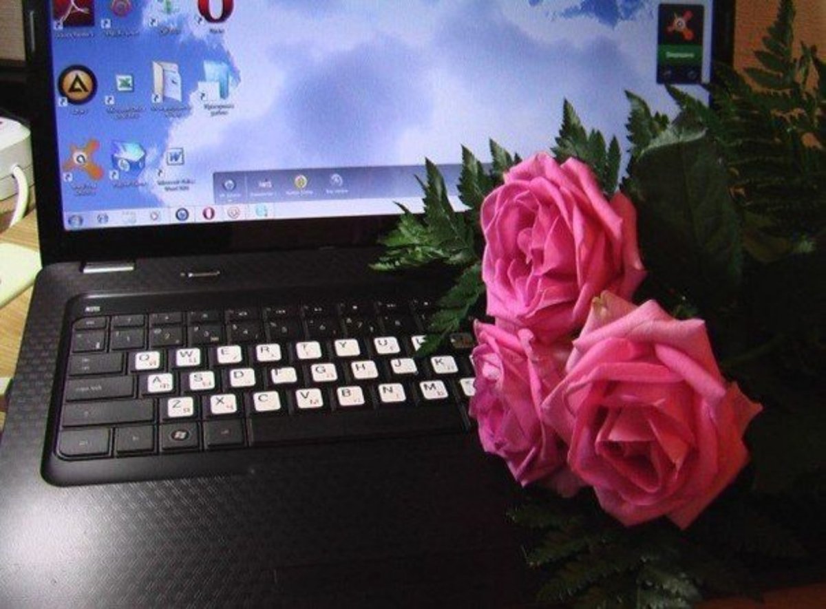 До.рый вечер и спокойной носи