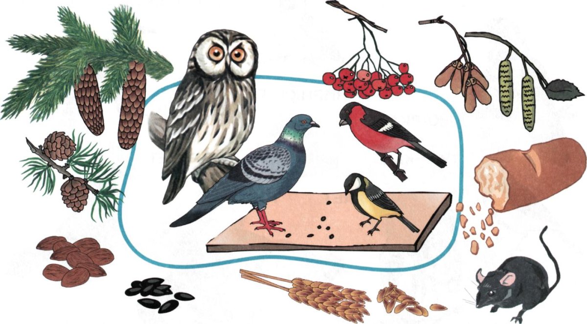 Скворечники цветные для вырезания