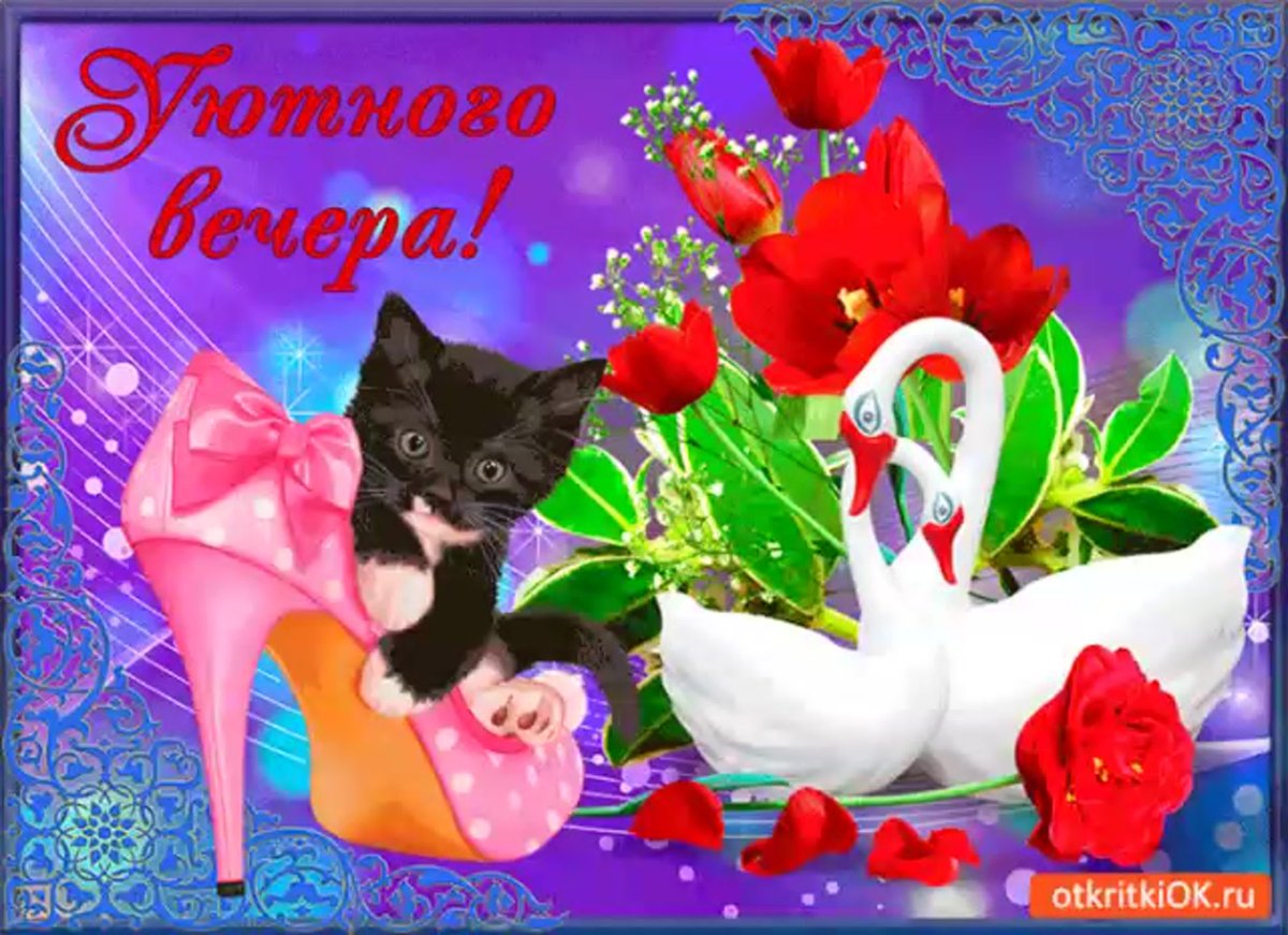 Доброй вам ночи и светлого завтра