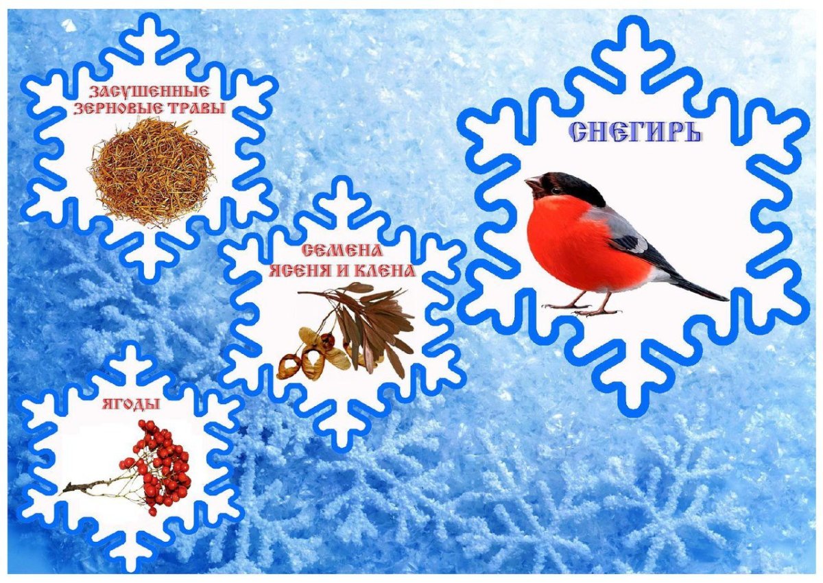 Изображение синицы для детей