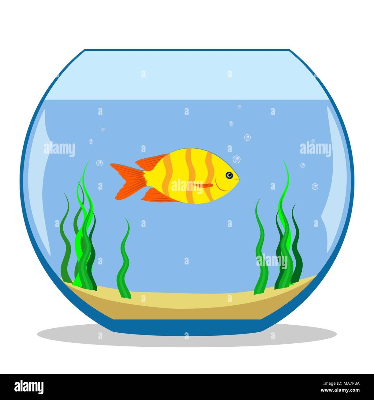 Аппликация аквариум с рыбками и водорослями