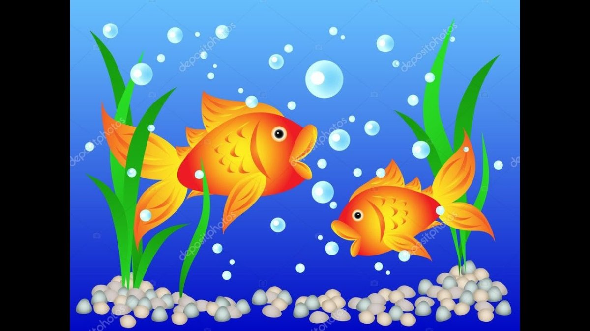 Рыбки в аквариуме для детей дошкольного возраста