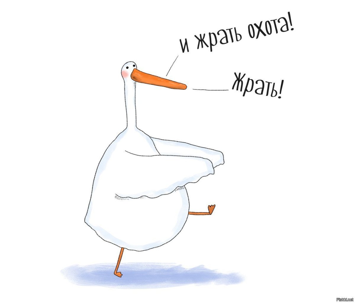 Откормленная утка для фуагры рисунок