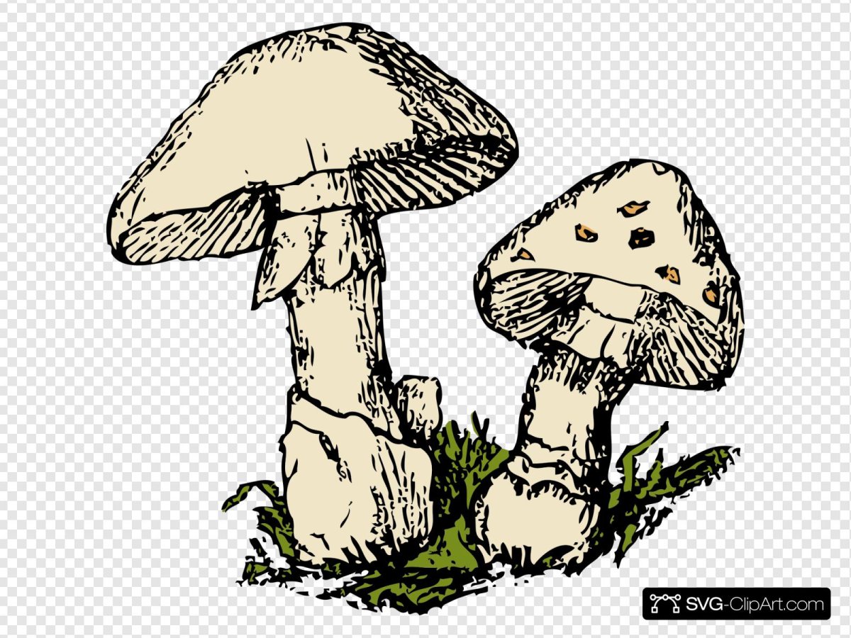 Гриб рисунок треугольный