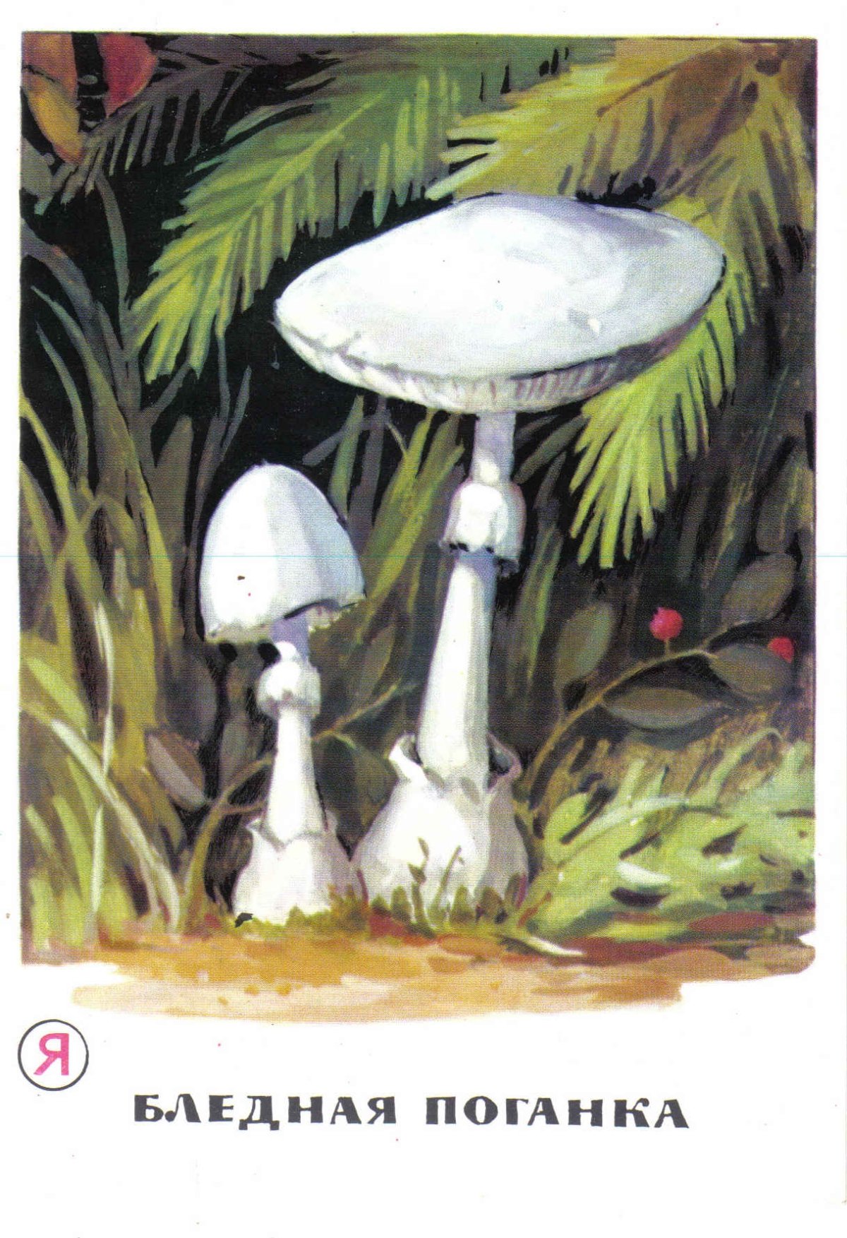 Маски мухоморы для детей