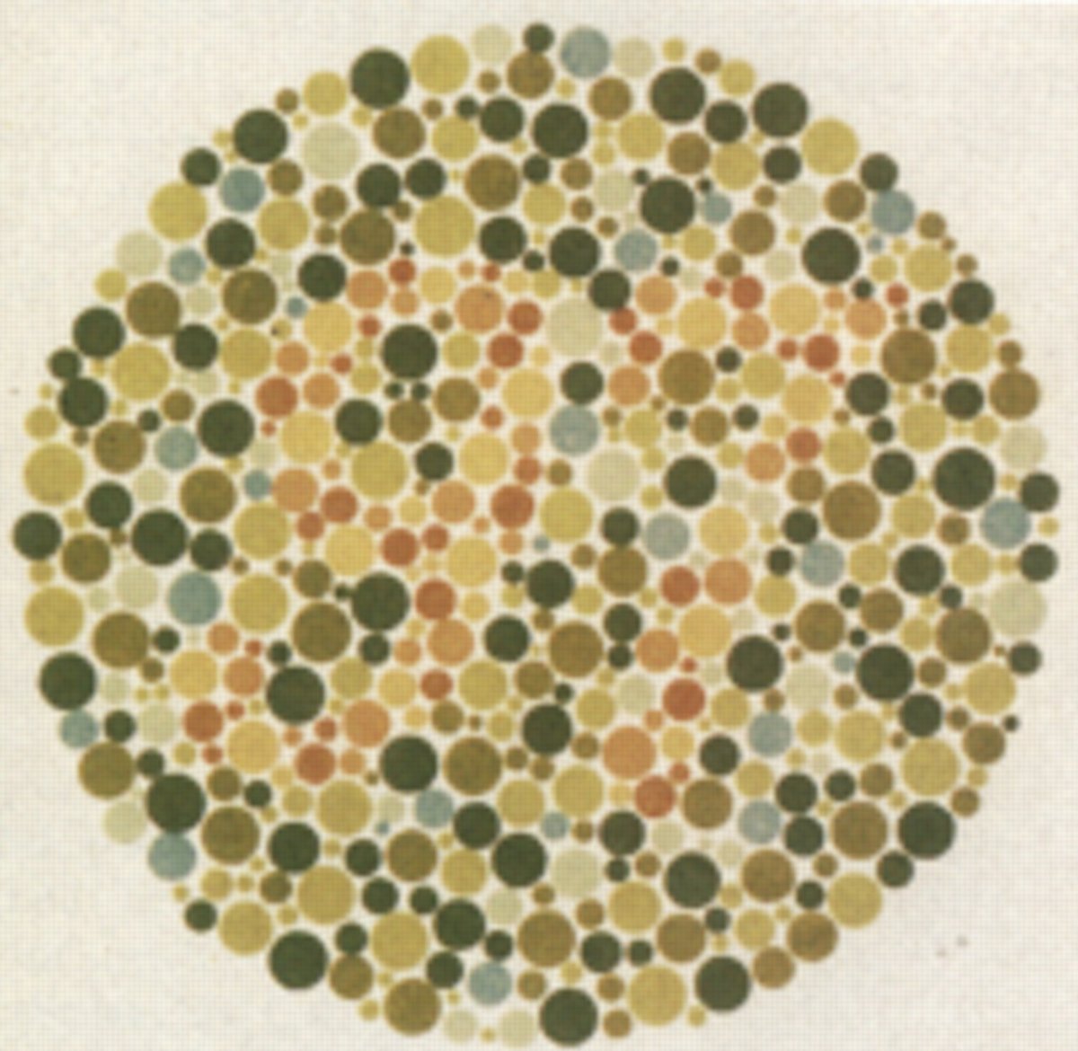 Colorblind дальтонизм