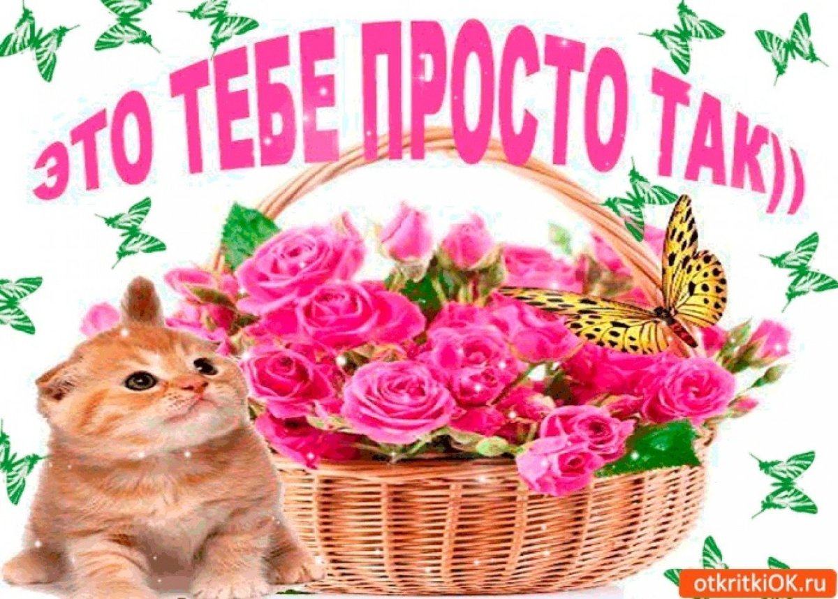 Это тебе просто так