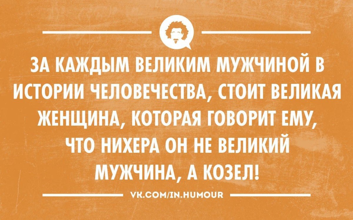 Смешные цитаты