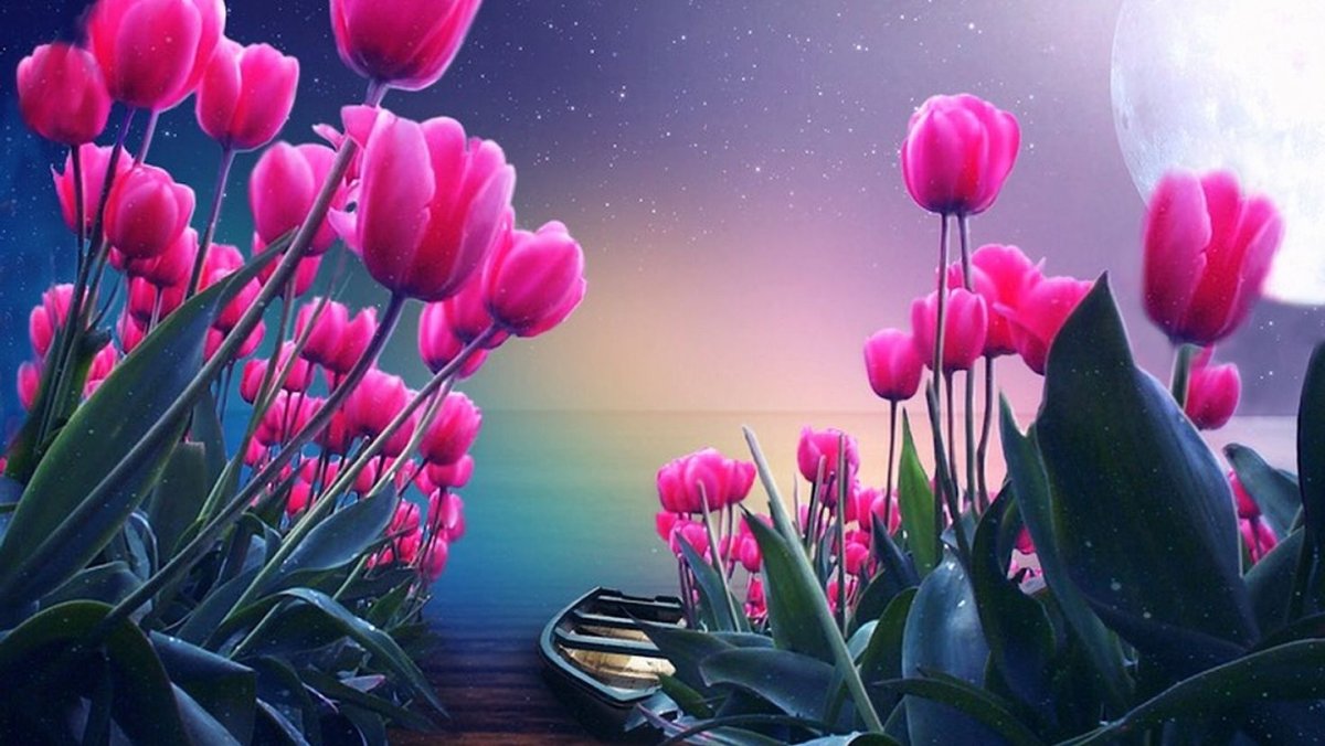 Доброй ночи Весна