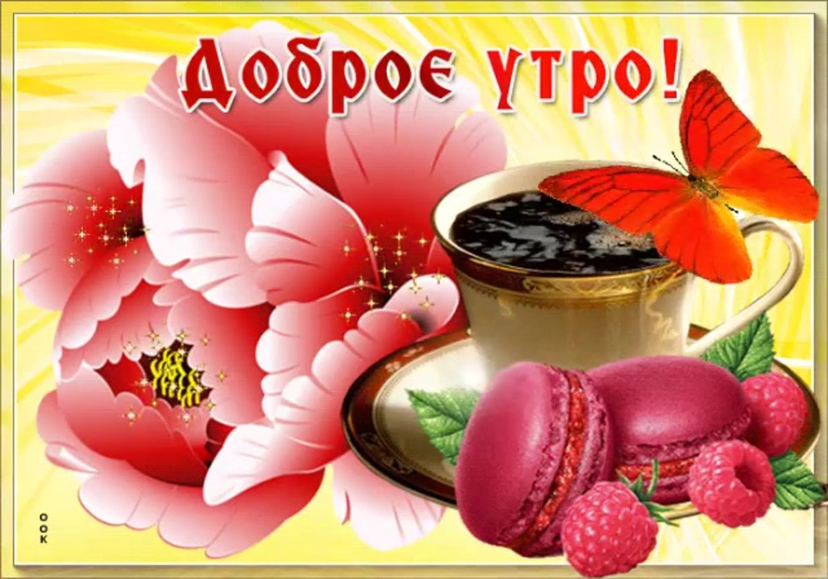 Три кошки с добрым утром