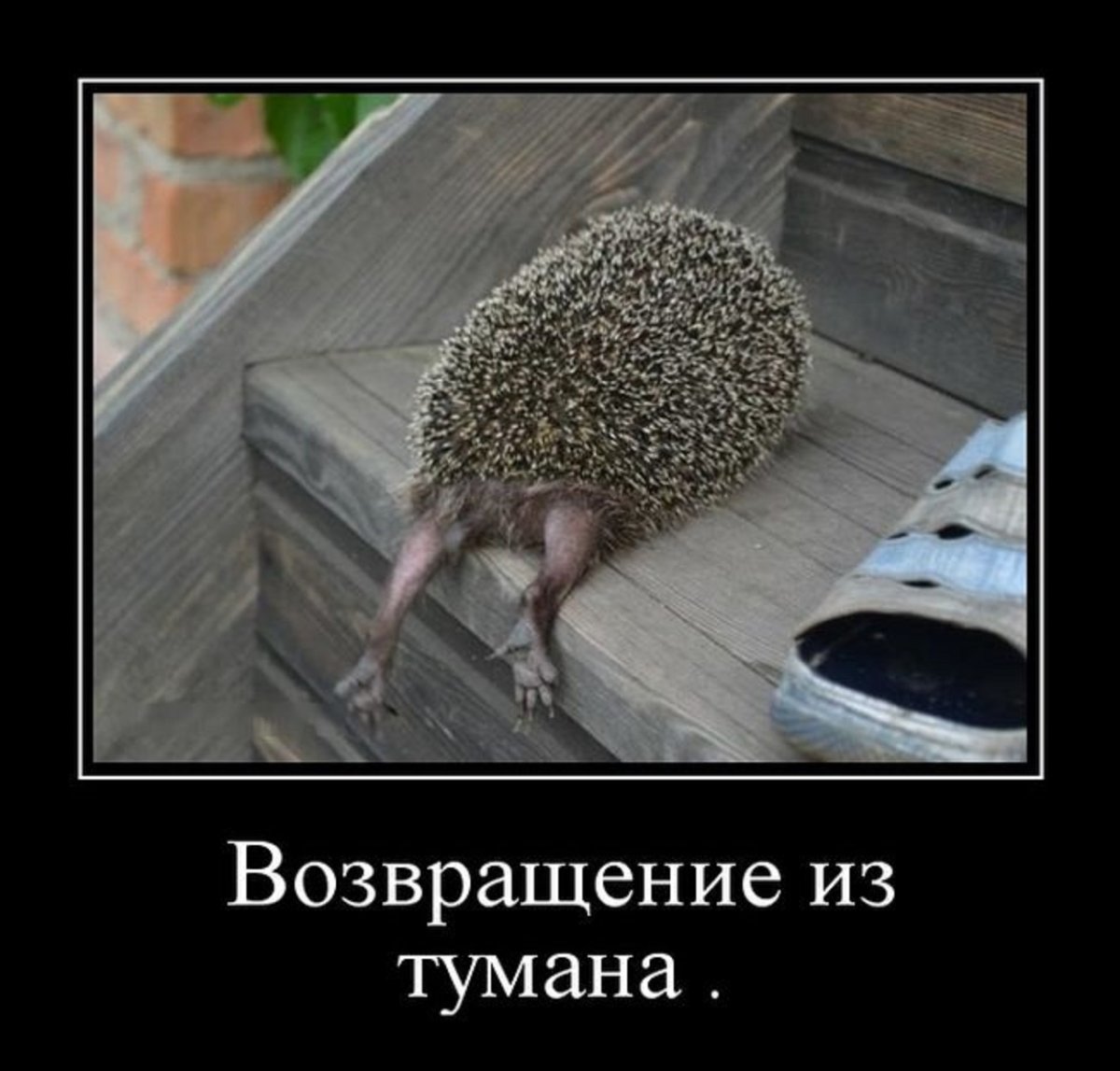 Приколы про усталость