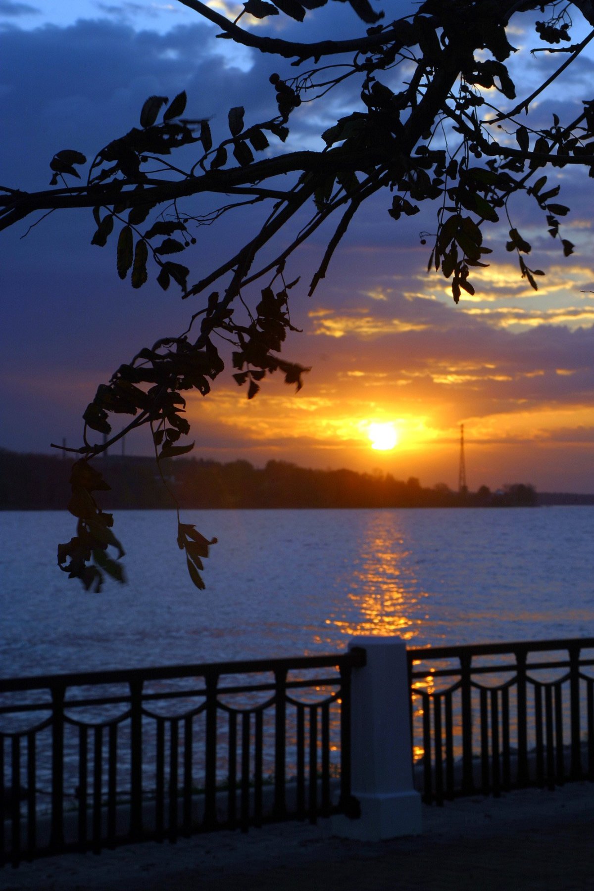 Добрый вечер Зоя