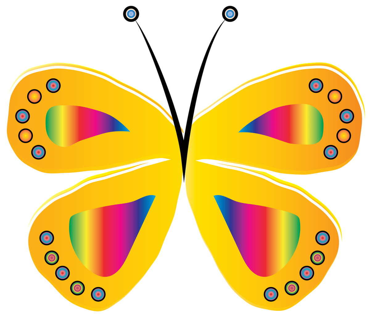 Группа бабочки в детском саду